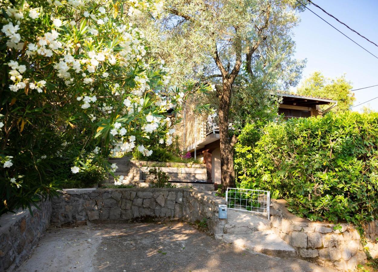 Hidden Gem Of Krasici Villa Радовичи Екстериор снимка